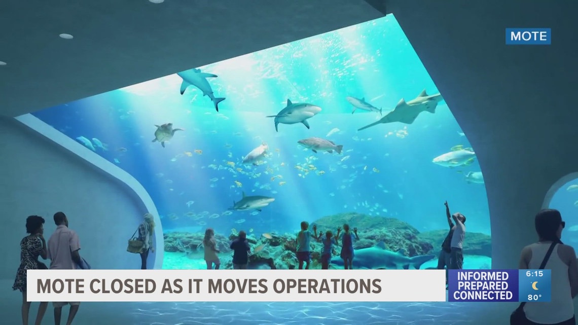 Mote Marine Laboratory and Aquarium closes its doors after 25 years ...