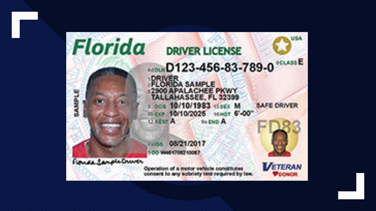 state of florida driver license check