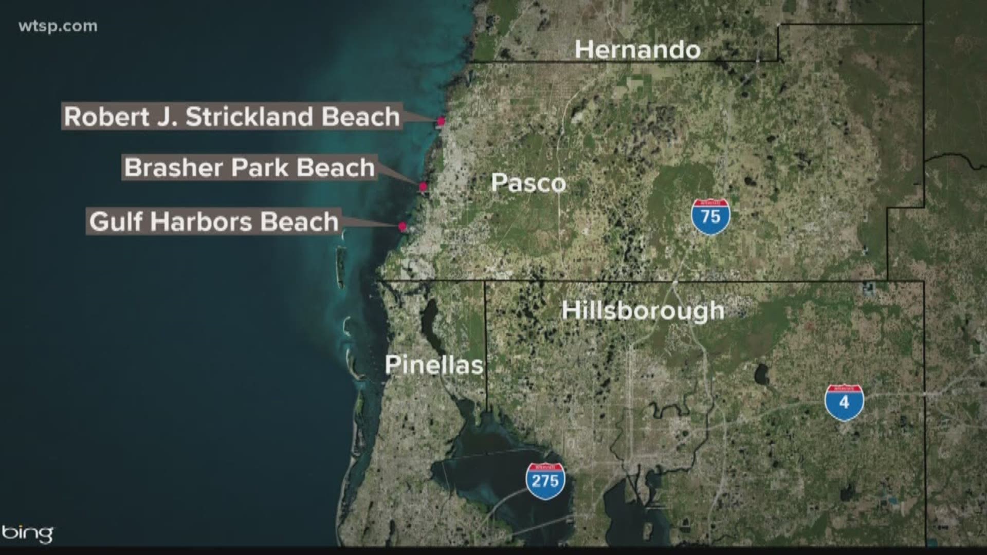 A water quality advisory has been issued for three beaches in Pasco County after water sample testing found "fecal pollution."

The Department of Health in Pasco County said advisories were issued for Robert J. Strickland Beach, Brasher Park Beach and Gulf Harbors Beach. The advisory is based on the presence of enterococci (intestinal bacteria) in the water samples.

The department said it monitors beach water samples for the bacteria, which can cause human disease, infections or rashes. The presence of this bacteria is an indication of "fecal pollution," which can come from storm water runoff, pets, wildlife and human sewage.

The department said the next water sampling date is set for July 22.