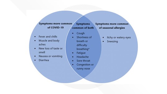 Allergy symptoms vs. COVID What to know