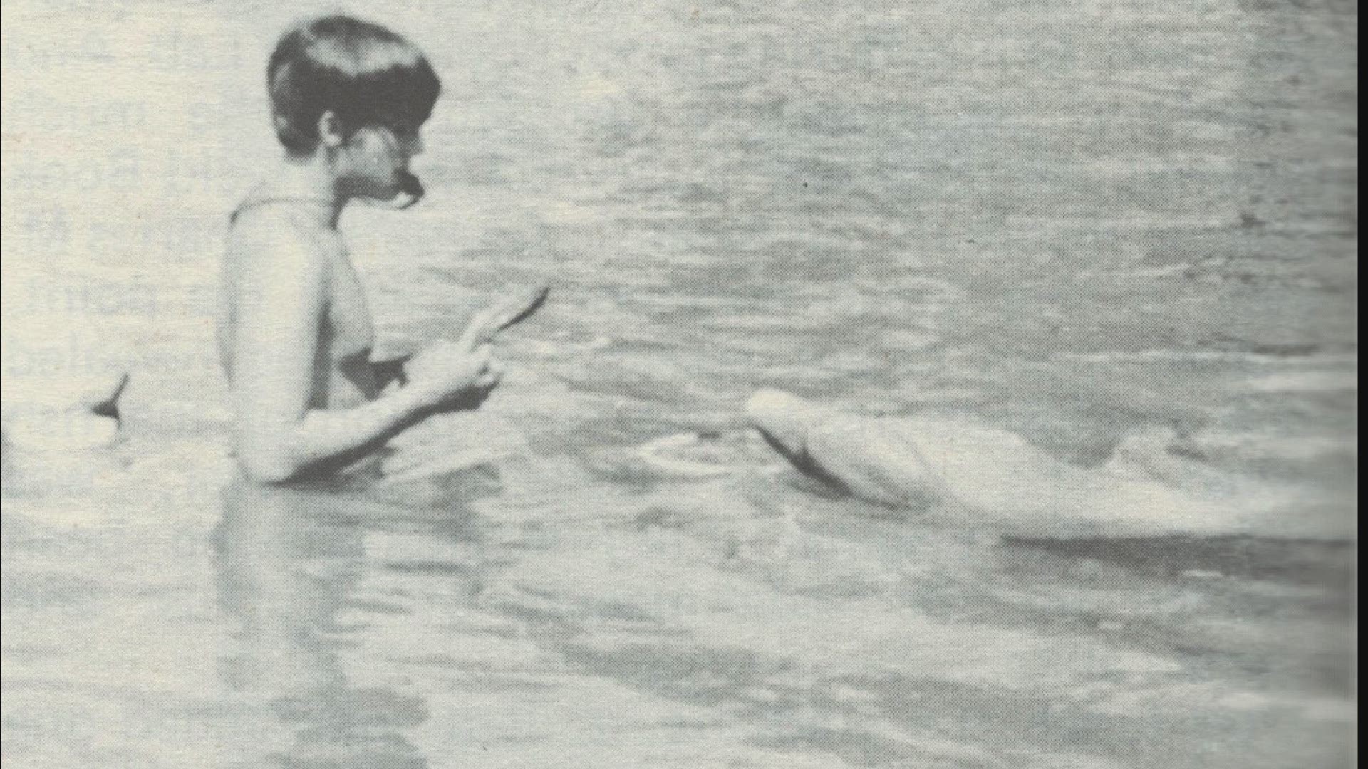 Sarasota Dolphin Research Program Director Randall Wells shares what he's learned in his decades of studying dolphins.