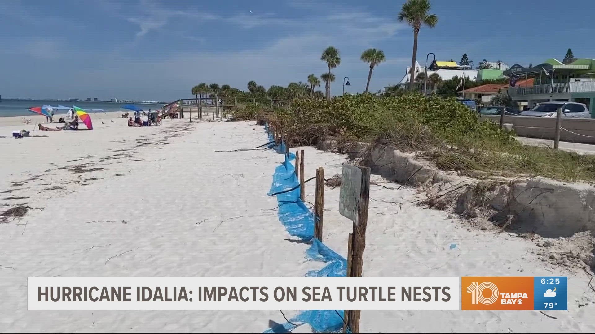 Beach erosion and hurricane impacts have caused some nests to be lost, but there is hope.