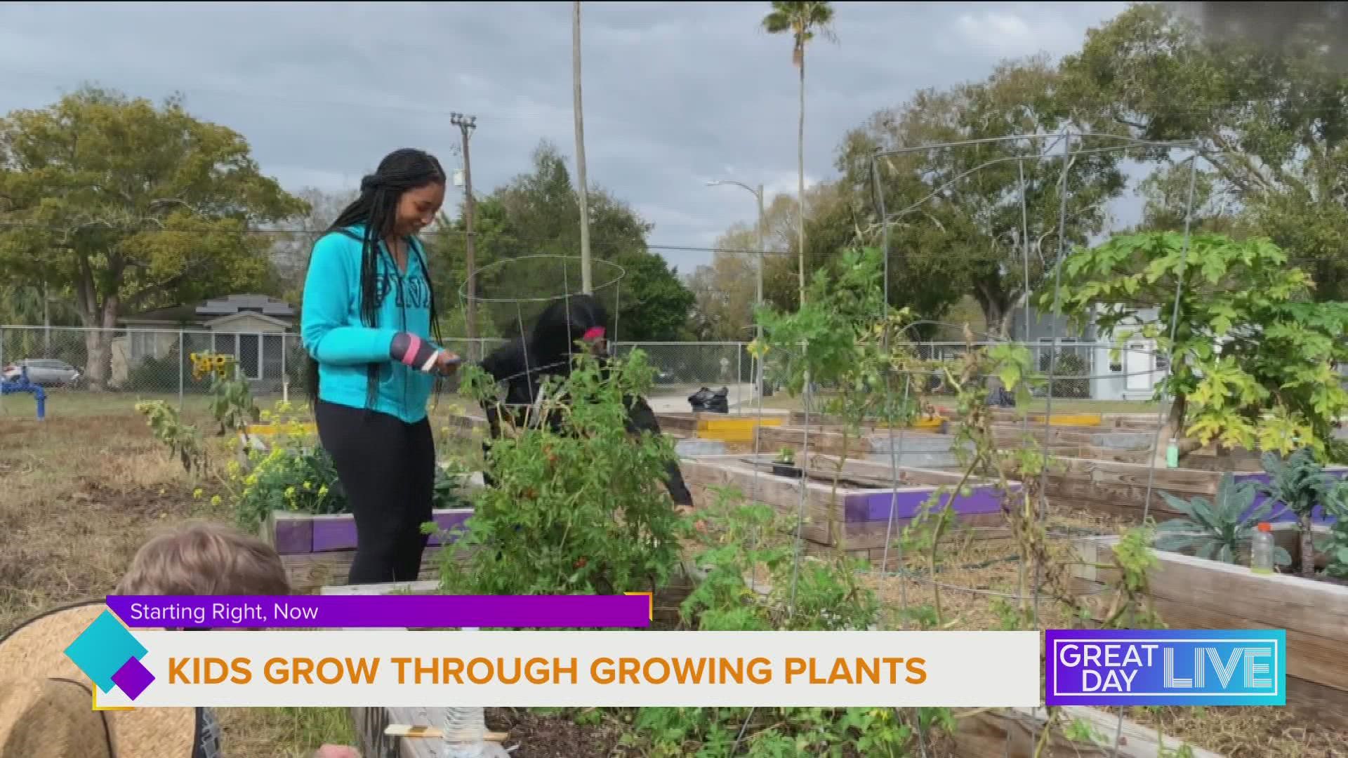 Shelter fosters growth in garden and teens