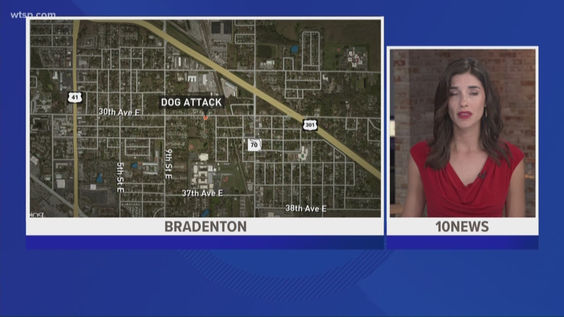 Manatee County deputies said a 2-year-old in Bradenton was attacked by at least one of his grandmother’s dogs Saturday.

A witness said a pit bull was out of its pen when it attacked the child.