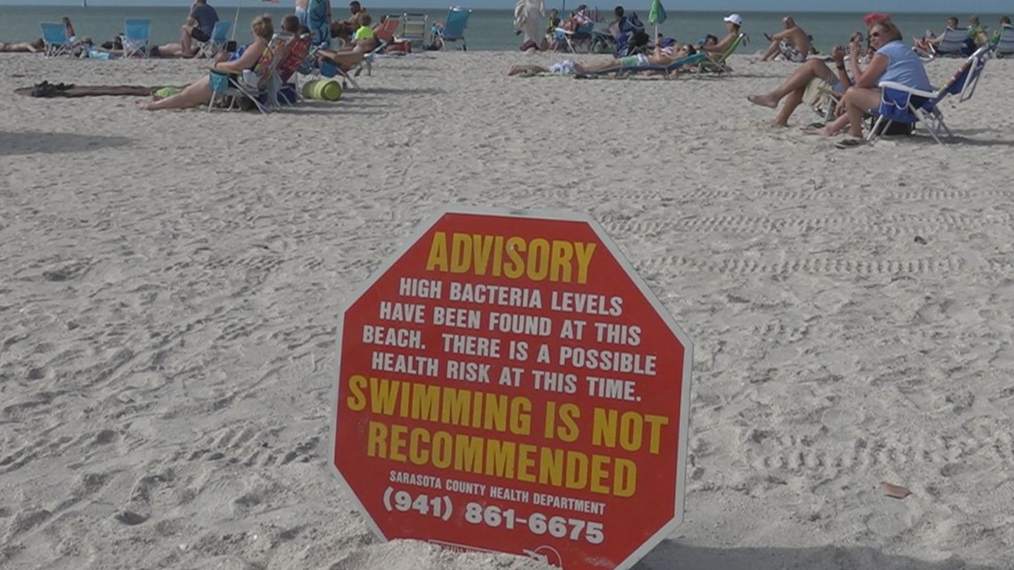 Swimming not recommended at 2 Hillsborough County beaches due to high  bacteria levels