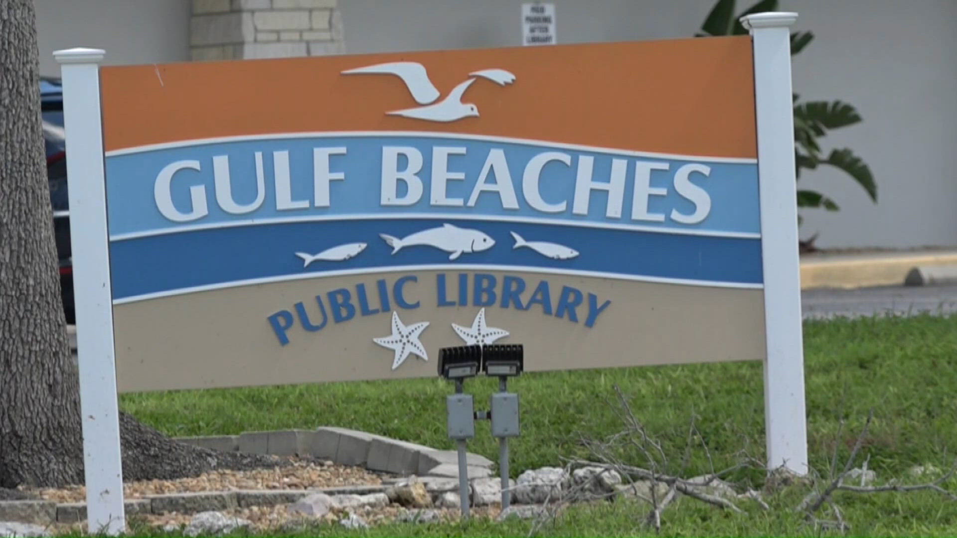 Treasure Island considers changes to free library card program | wtsp.com