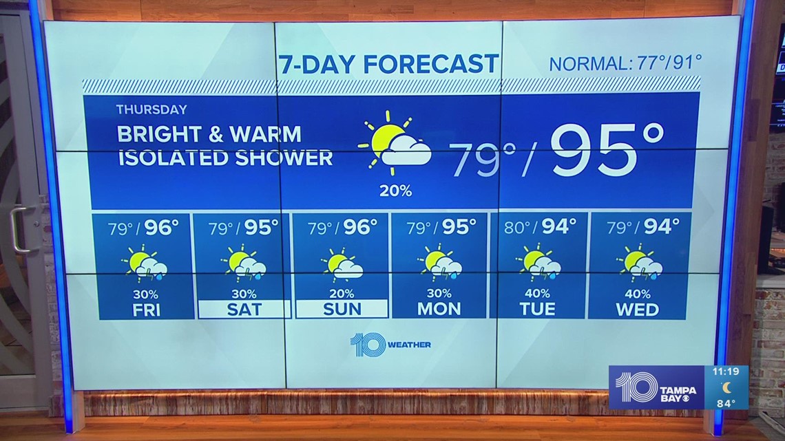 10 scenic drives around Tampa Bay to take while selfisolating