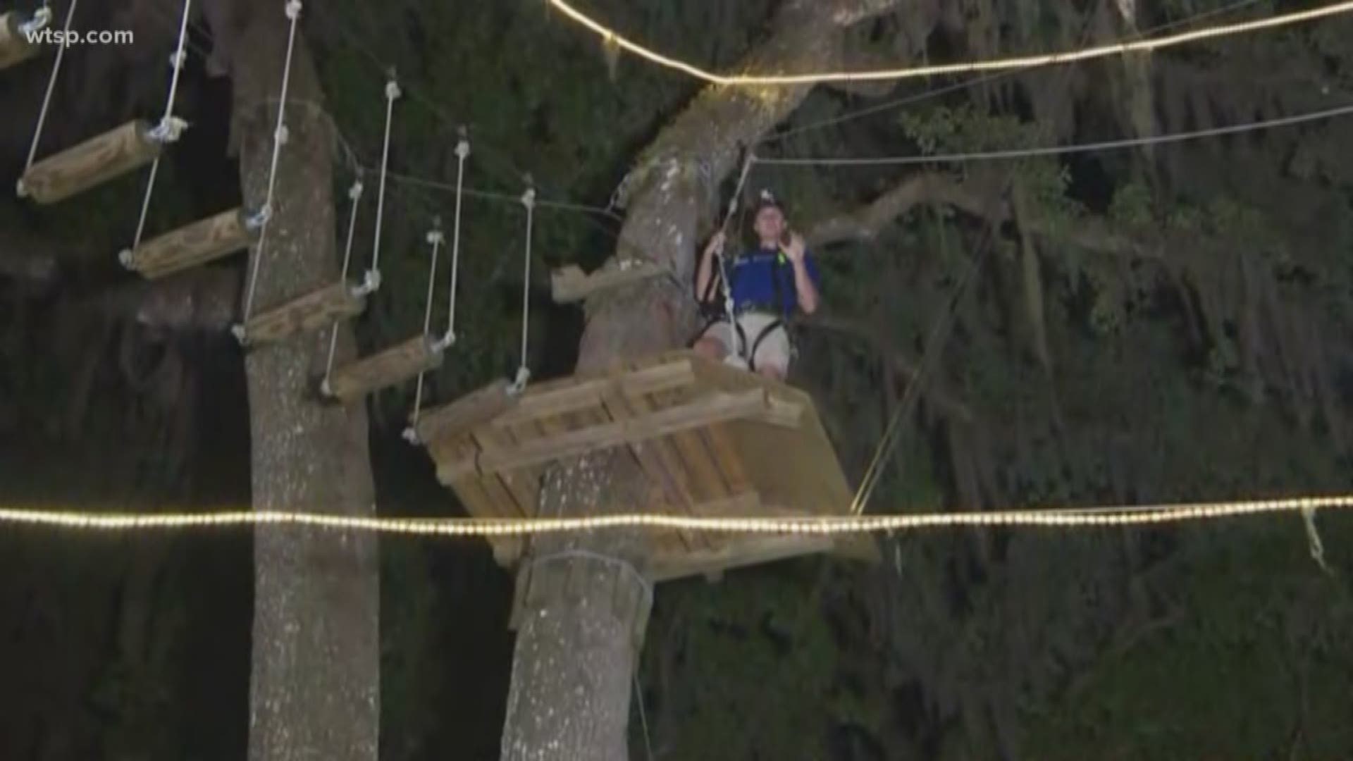 TreeHoppers Aerial Adventure Park is located at 27839 St. Joe Road, Dade City, FL 33525.