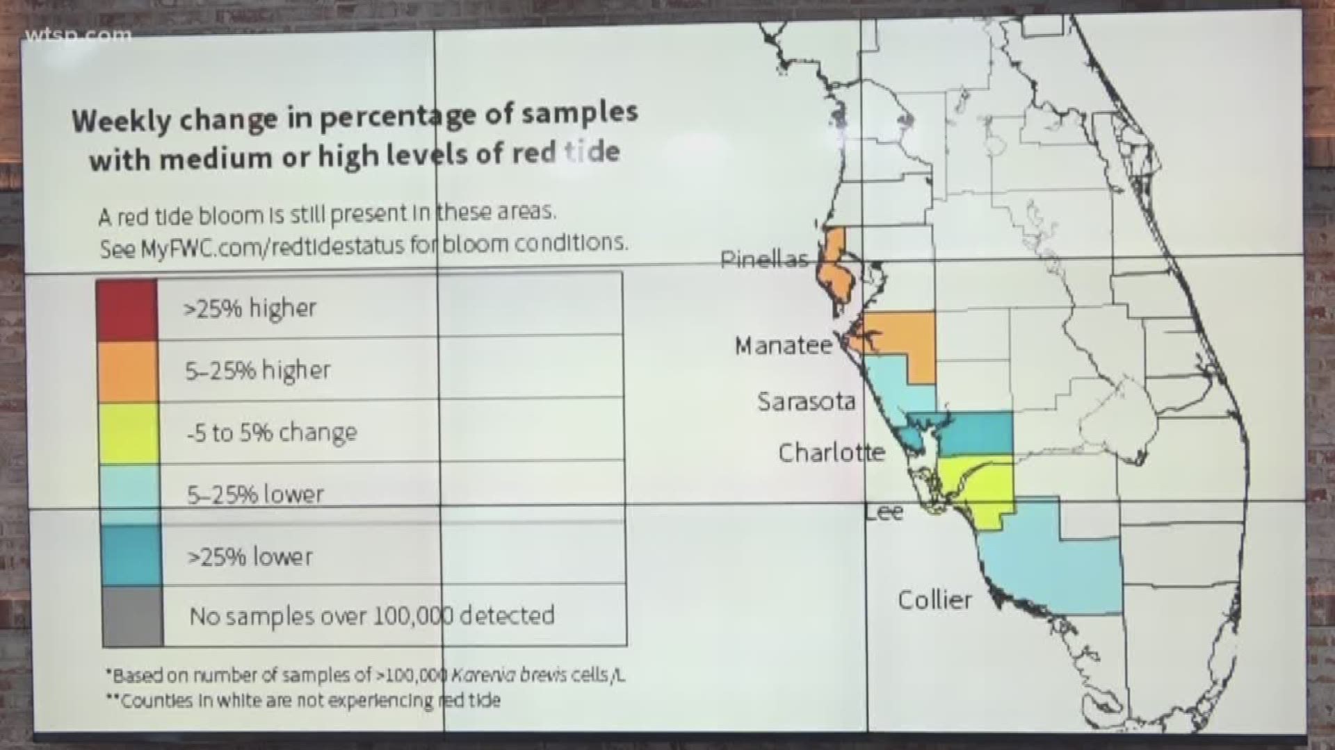 FWC releases new red tide map Madeira Beach sees increased levels