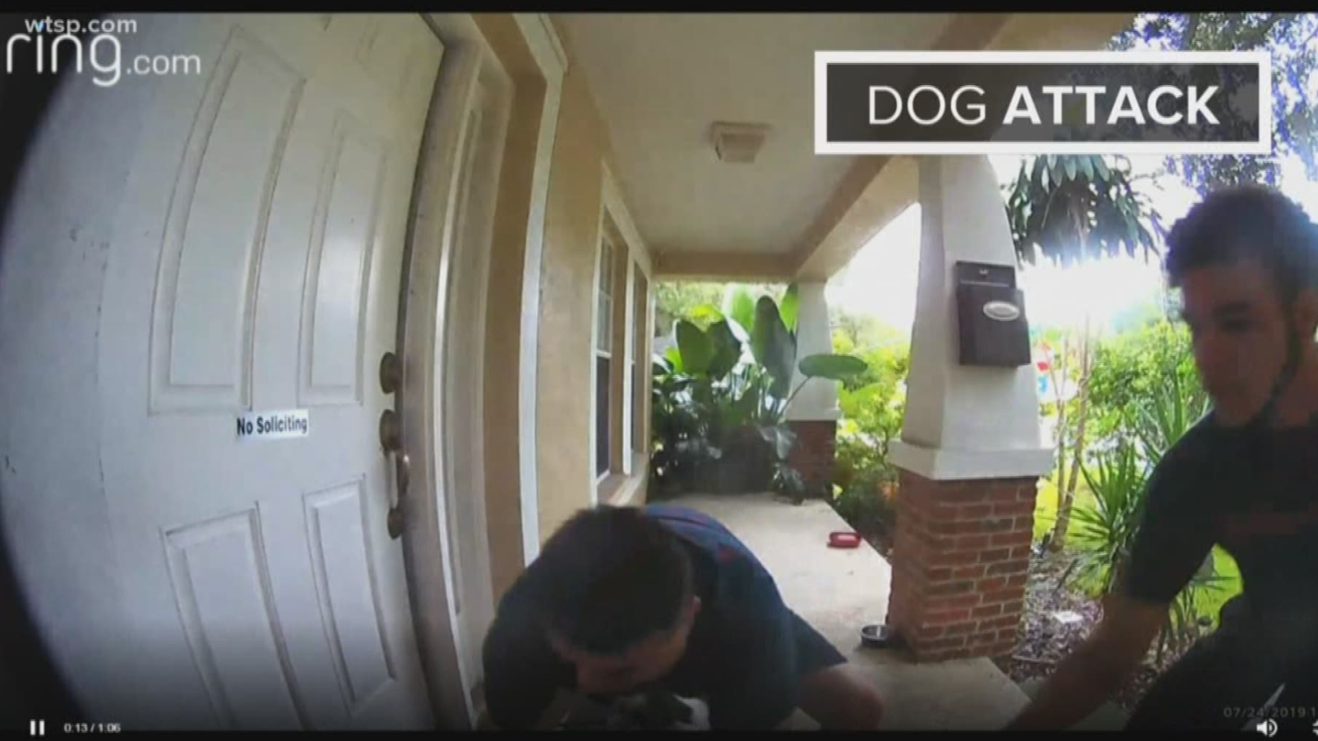 Going out for a walk almost turned deadly for David Ulibarri and his 7-year-old dog Gizmo. 

On Wednesday, he walked out of his Tampa Heights home and an unleashed dog came running and attacked.

"By the time I got him back, the dog was already up on him and had him by the face," said Ulibarri.