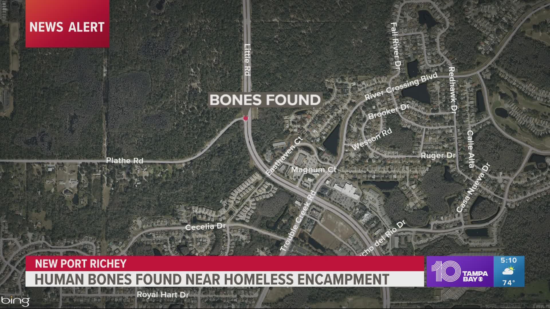 The sheriff's office said they were found near a homeless encampment.