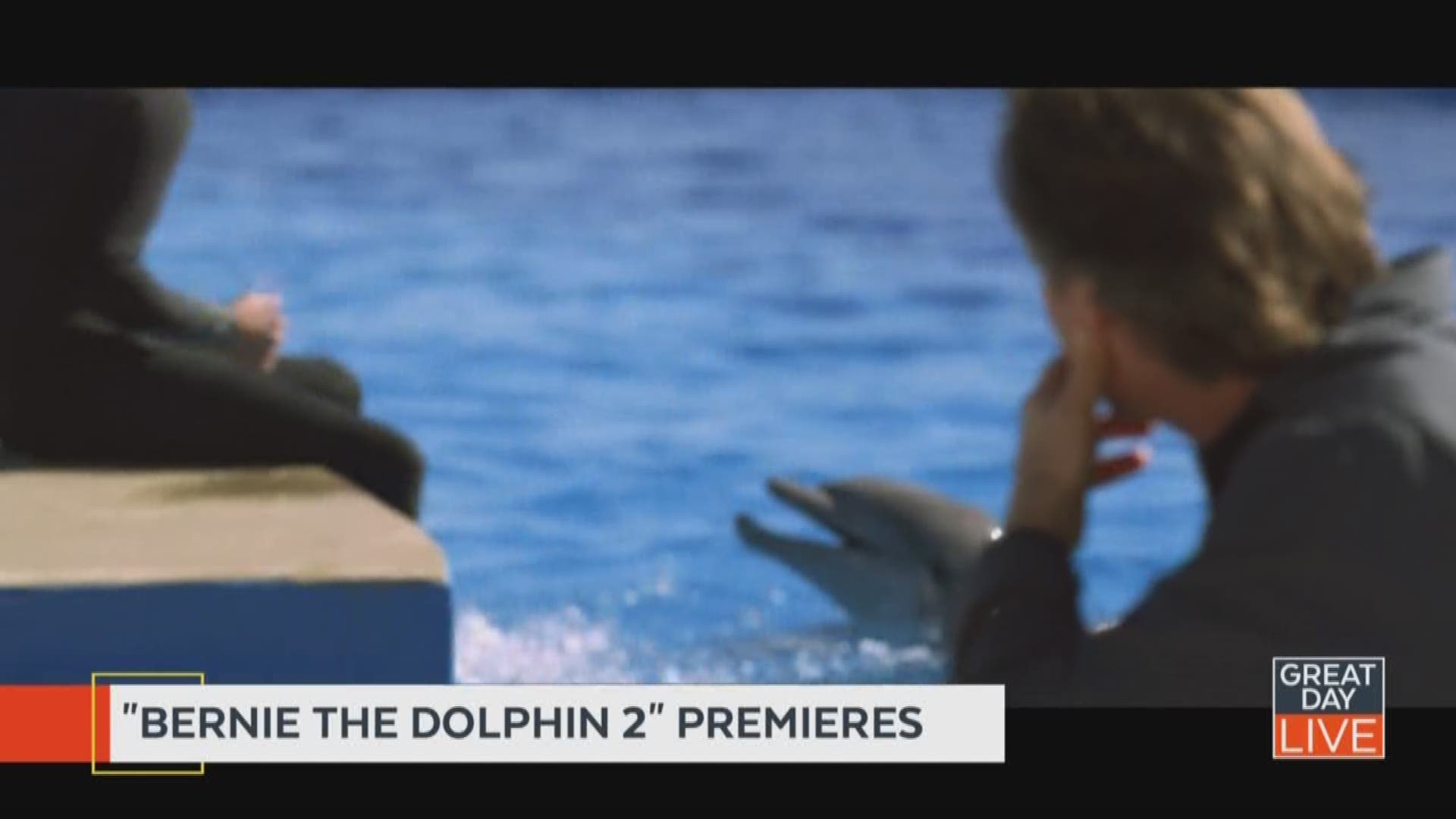 You can see Bernie the Dolphin 2 on demand.