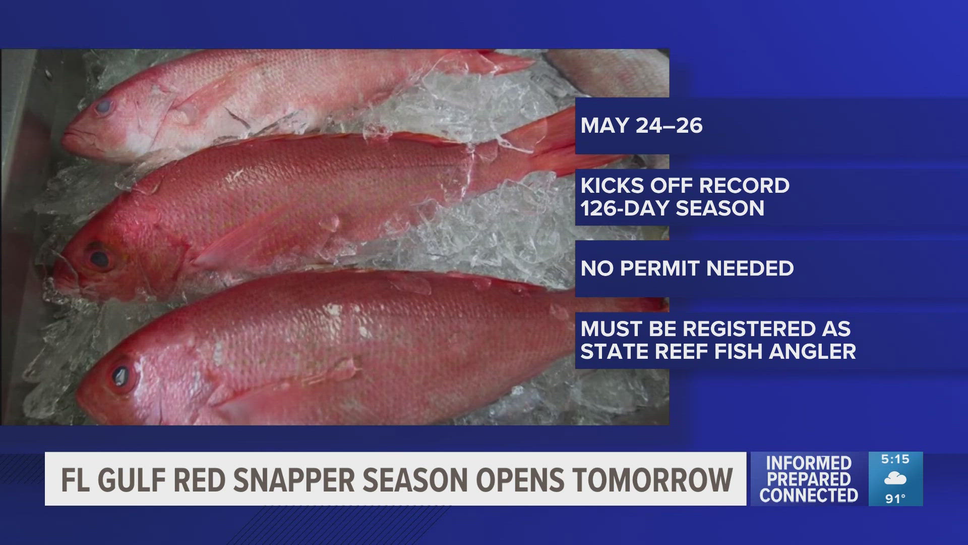 Gov. Ron DeSantis announced this year's "record-breaking" 126-day season last month, offering more opportunities for anglers to fish over major holidays.