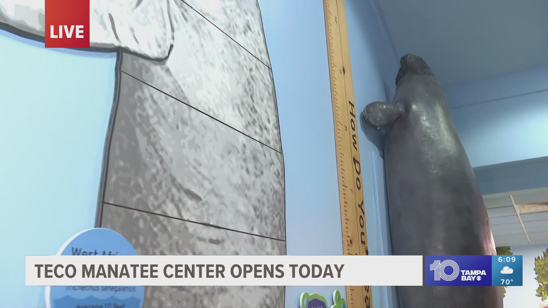 After back-to-back hurricanes led to some uncertainty for the homes of our favorite mammals, the center will reopen its doors to guests later today.