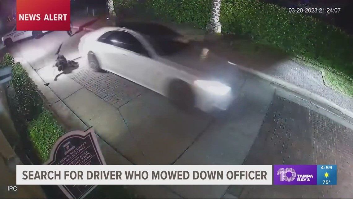 VIDEO: Search underway for driver who hit Sarasota police officer head-on