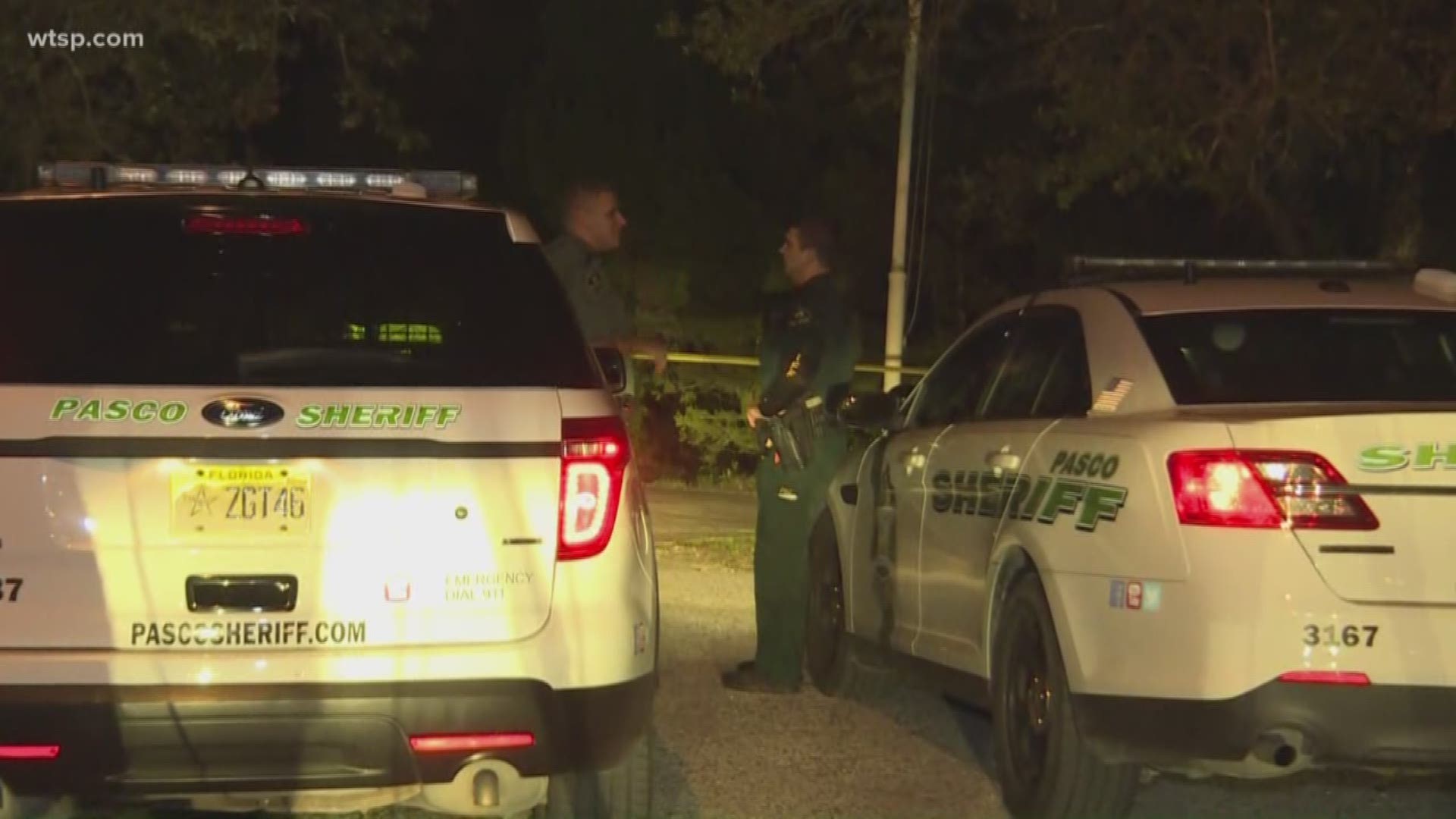 An elderly Hudson man was injured when he was attacked by a man who broke into his home and took his pickup truck, Pasco County deputies said Friday.

About 5:40 pm., deputies were called to the home on Duda Road where the victim was attacked by an armed masked man in his 20s, law enforcement said.