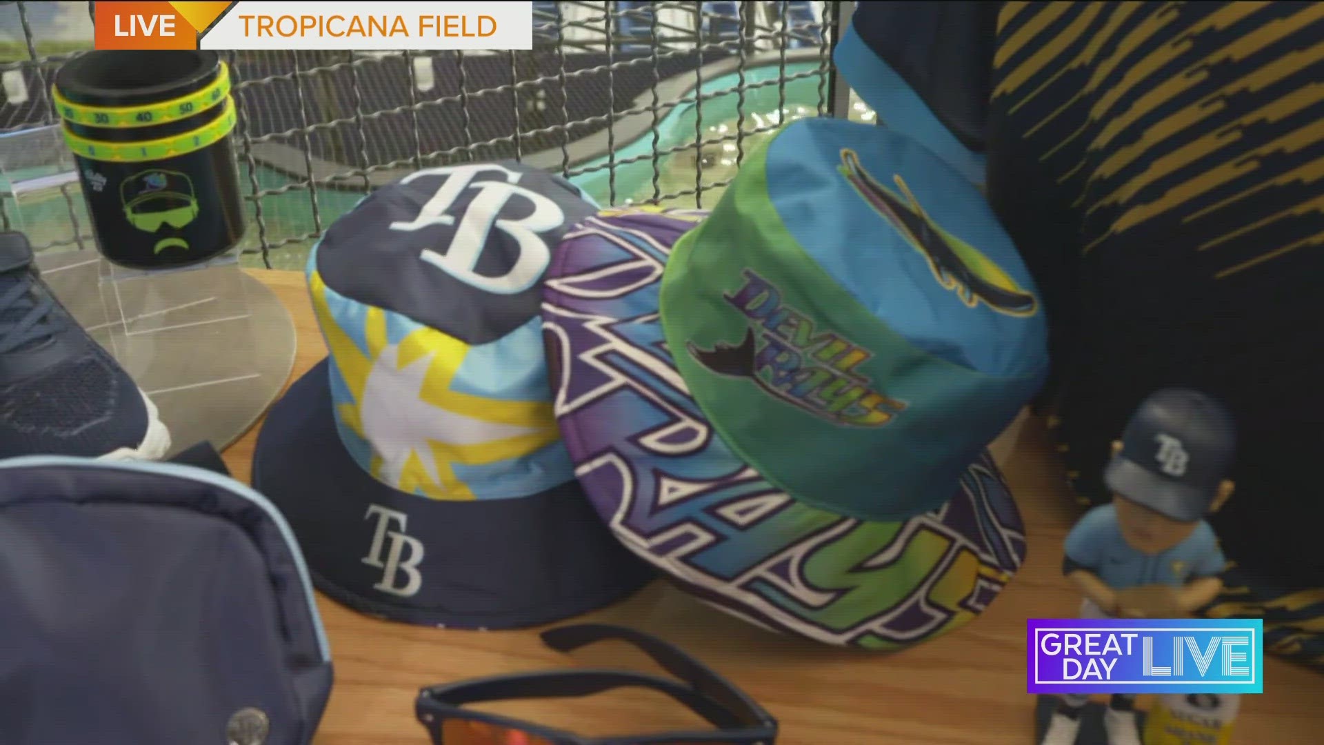 Tampa Bay Rays Rookies Kids Club for Little Rays Fans!