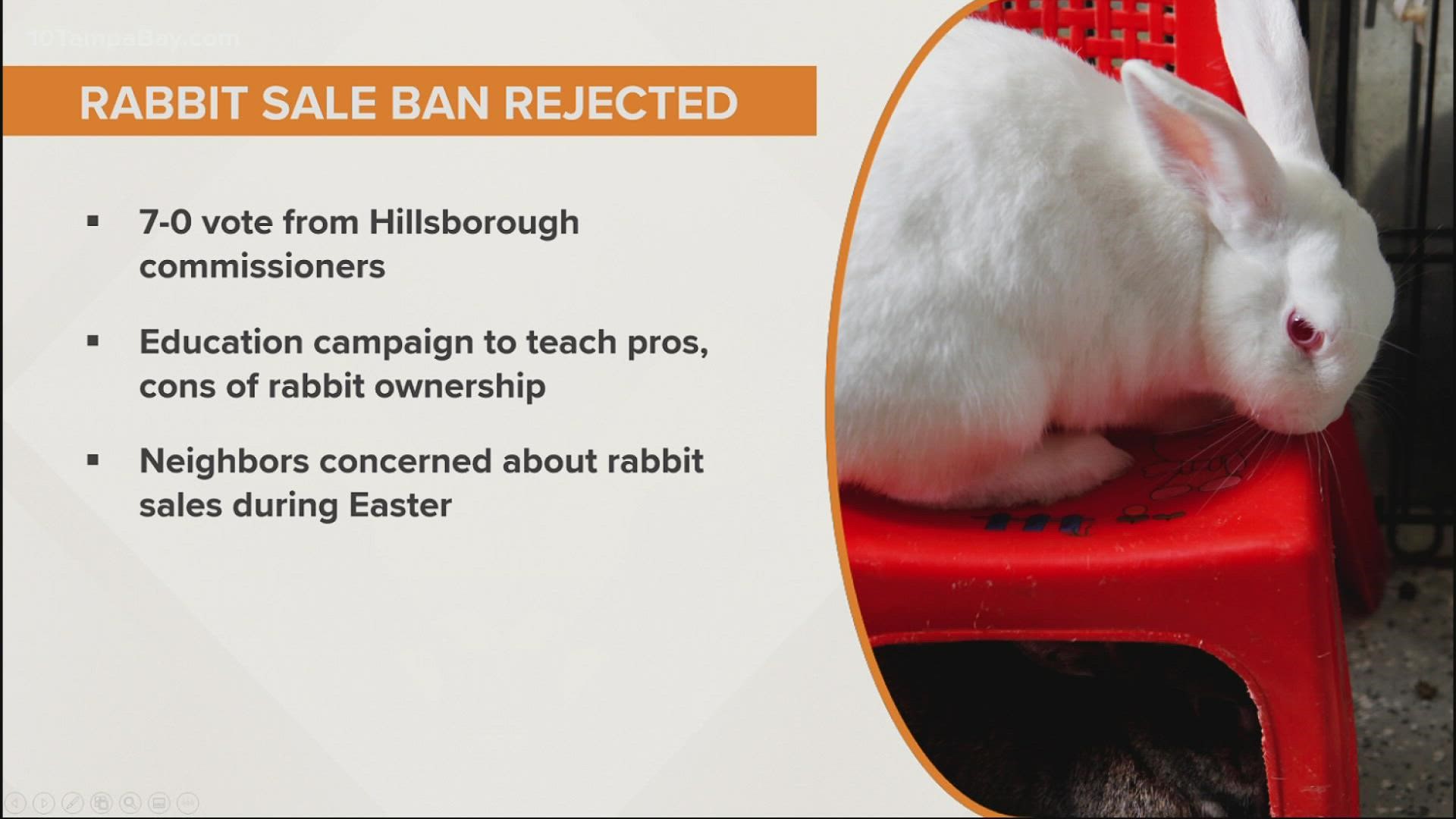 In a 7-0 vote, commissioners decided to educate the public about rabbit ownership rather than ban their sale.