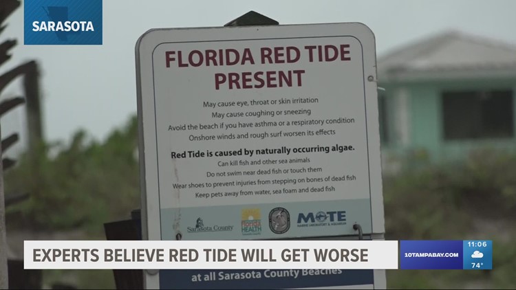 Red tide returns to 16 Sarasota County beaches