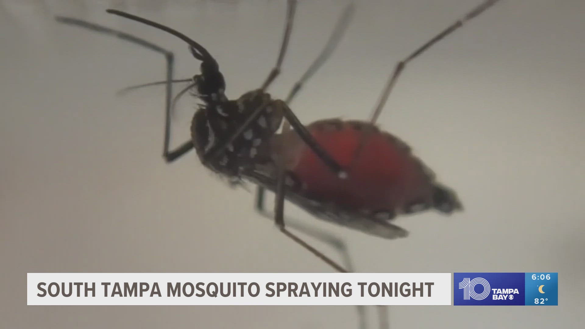 The Hillsborough County Mosquito Management will spray more than 17,000 acres in South Tampa on Monday night.