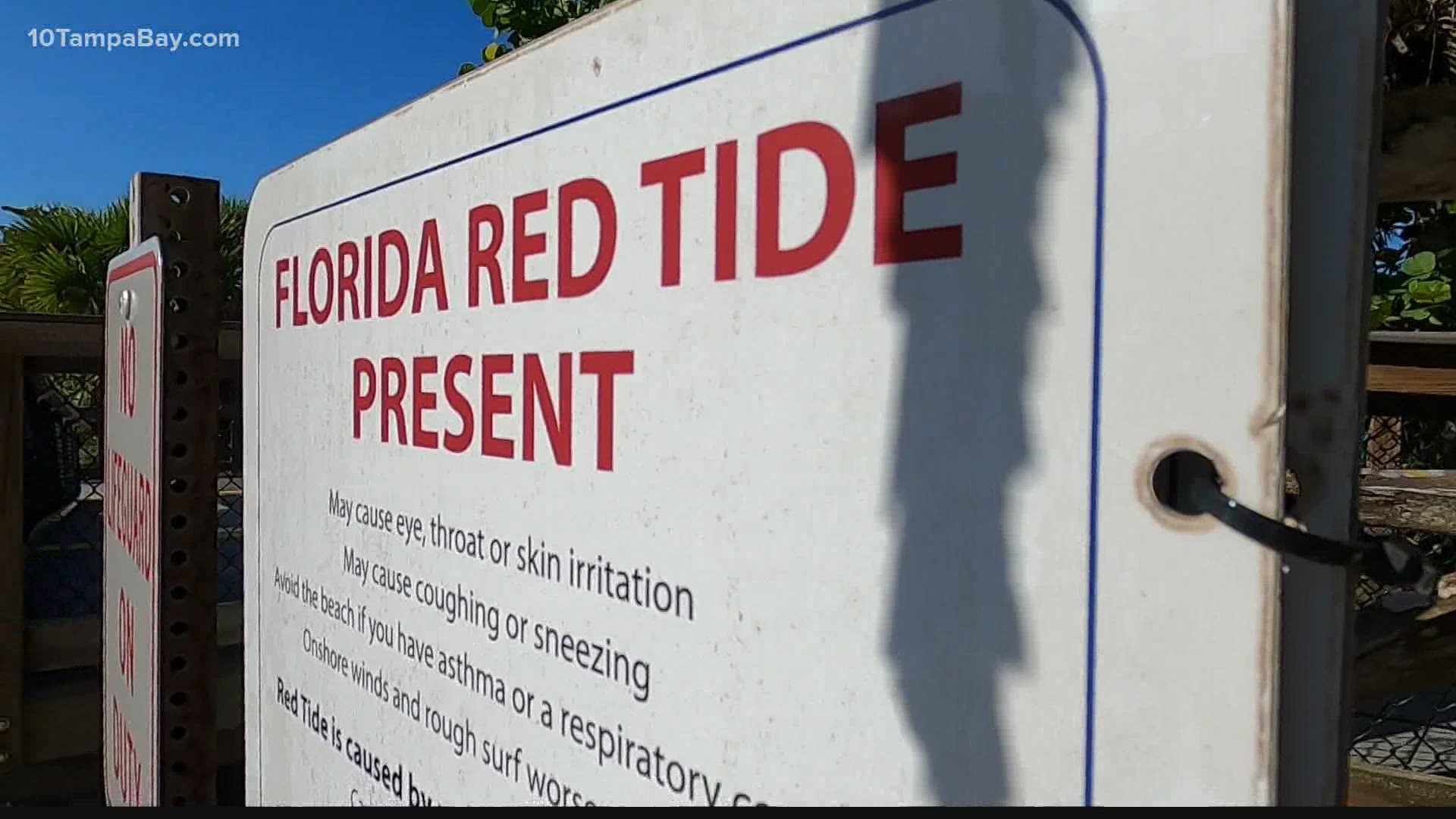 The NWS said there's a chance for respiratory irritation from the algae bloom to impact people in some coastal areas.