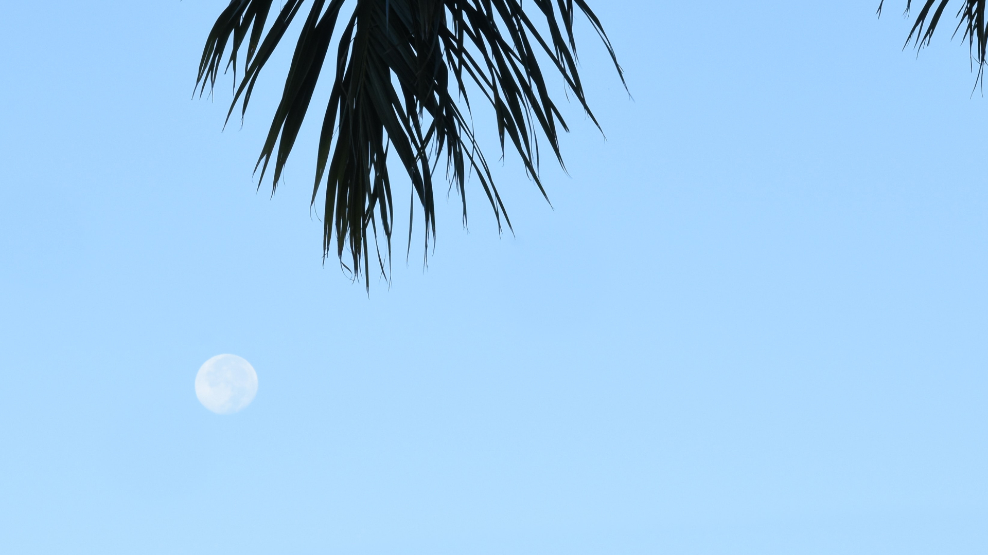 see-a-daytime-moon-in-the-morning-sky-saturday-wtsp