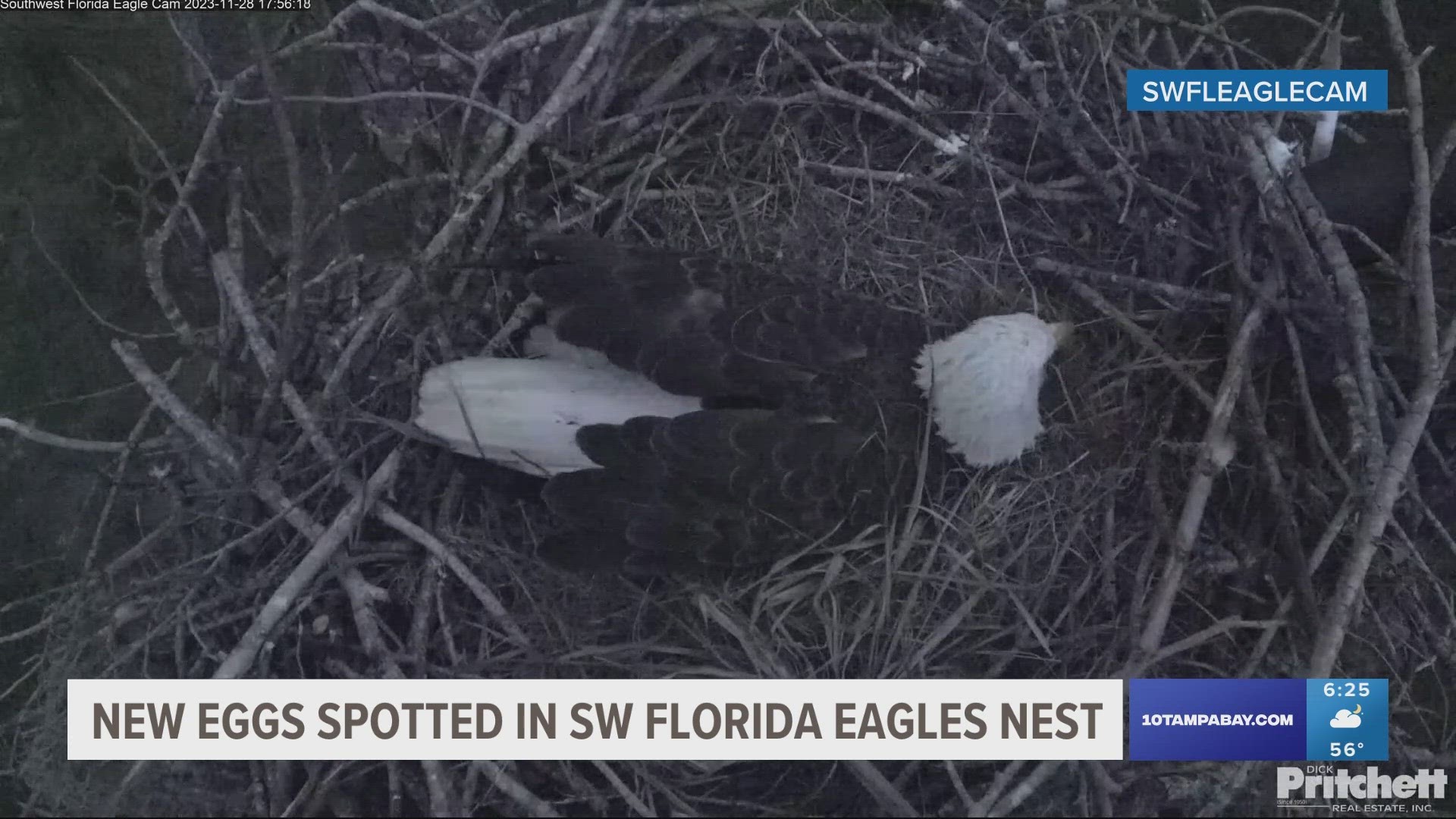 The popular eagle cam first reported an egg in the nest back on Friday. The two birds have been taking turns on egg duty.