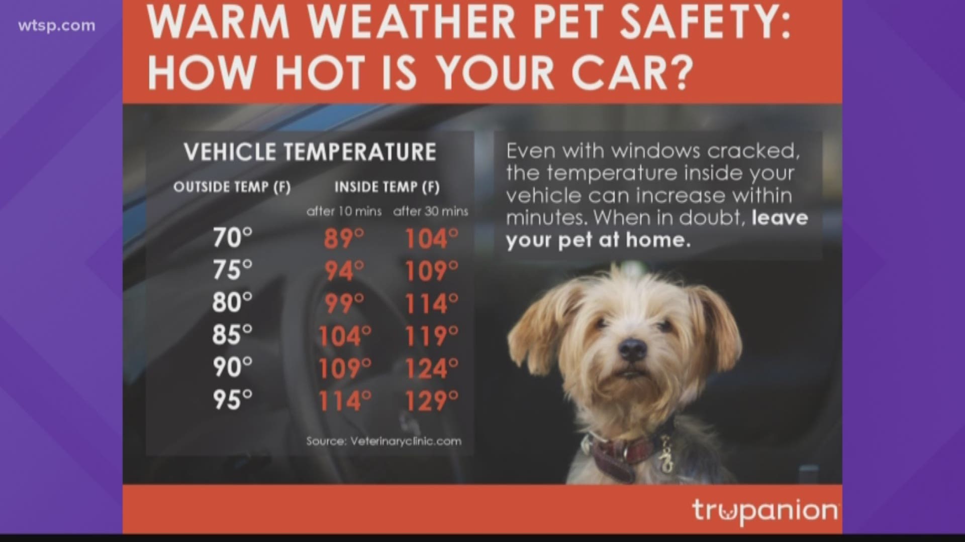 As the temperature climbs, so too does the risk of hot car deaths -- and it's perfectly legal to bust through a window help someone in a desperate situation.

While most people, hopefully, would break through a window at a moment's notice, there are certain criteria to follow to be protected from the law.

According to a 2016 Florida law, someone who enters a car, including by force, can be immune from penalty for saving a person. The law applies to rescuing an animal as well.