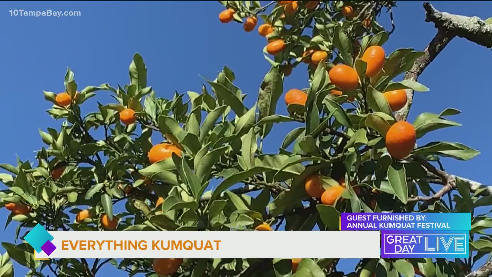The 25th Annual Kumquat Festival is coming to Dade City