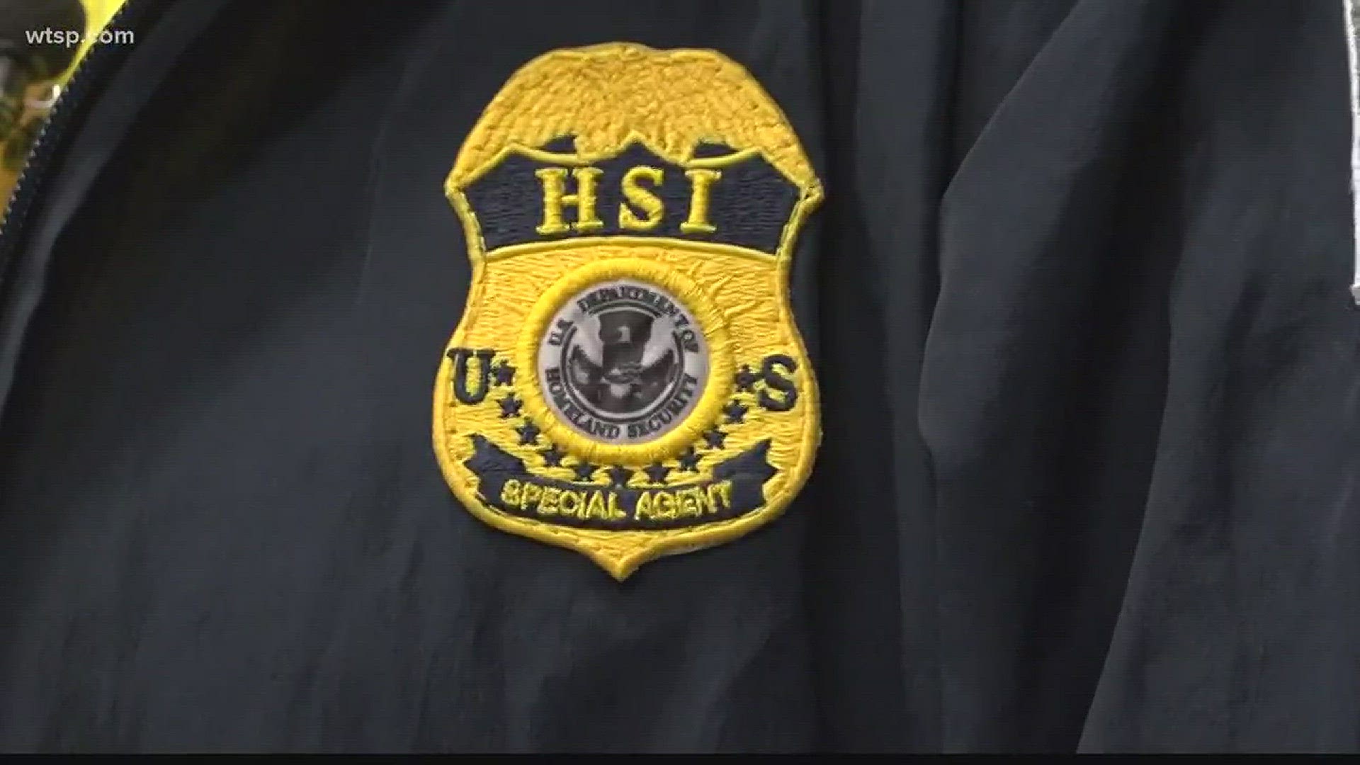 HSI - The most powerful law enforcement agency you've likely never heard of  | wtsp.com