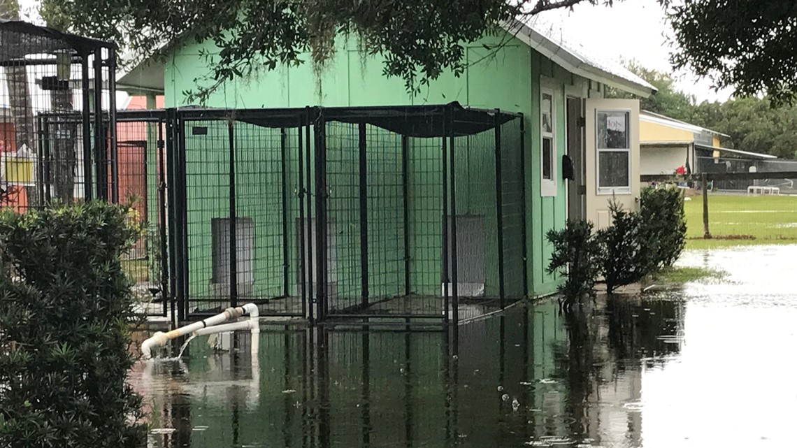 Bradenton animal shelter flooded by heavy rains | wtsp.com