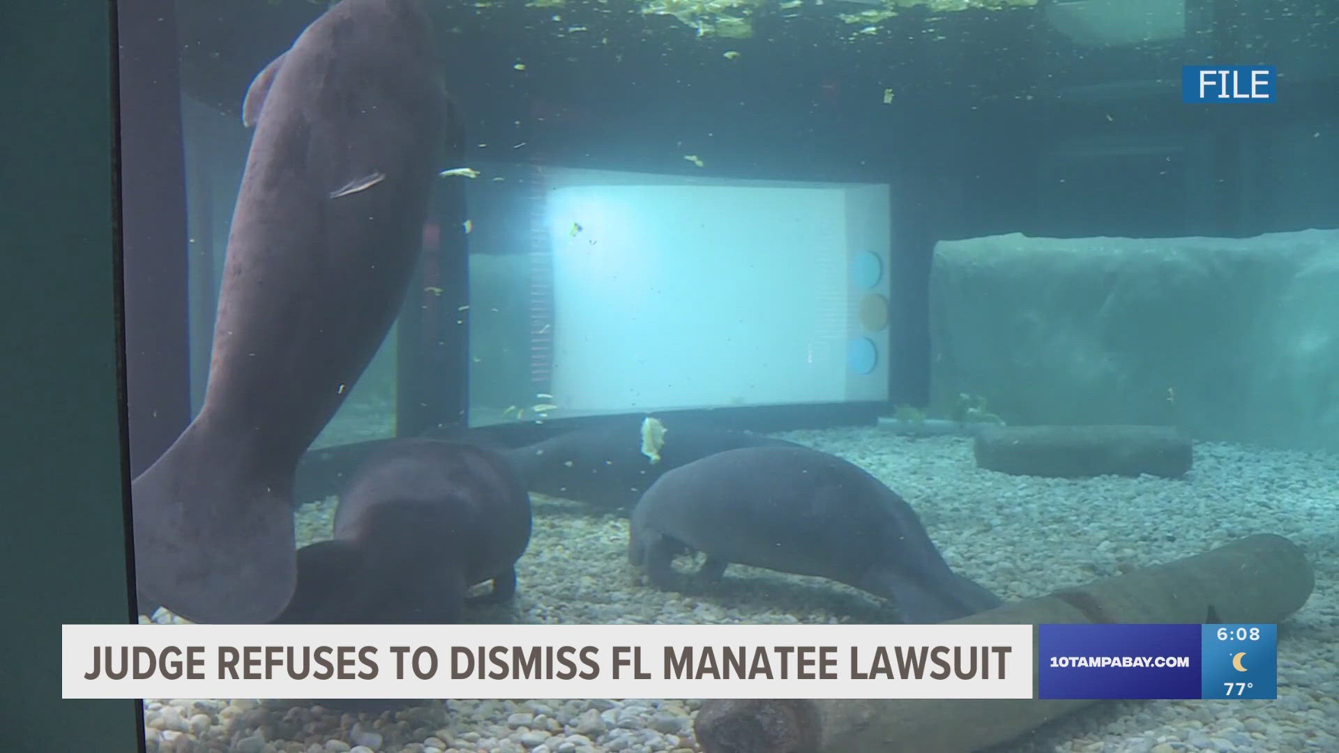 A federal judge this week refused to dismiss a lawsuit alleging that Florida has violated the Endangered Species Act because of sewage discharges.