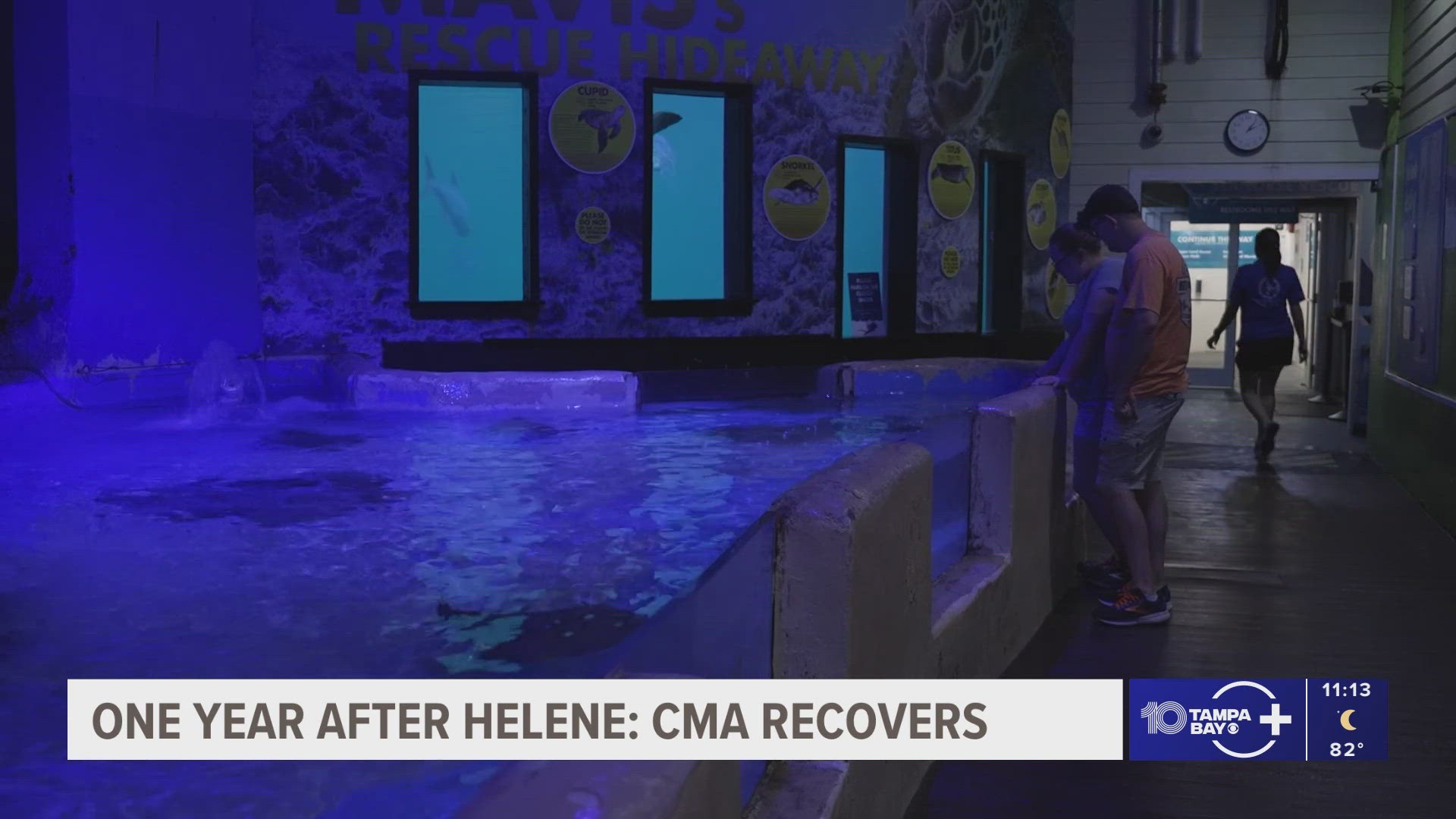 Clearwater Marine Aquarium recovers a year after Hurricane Helene ...