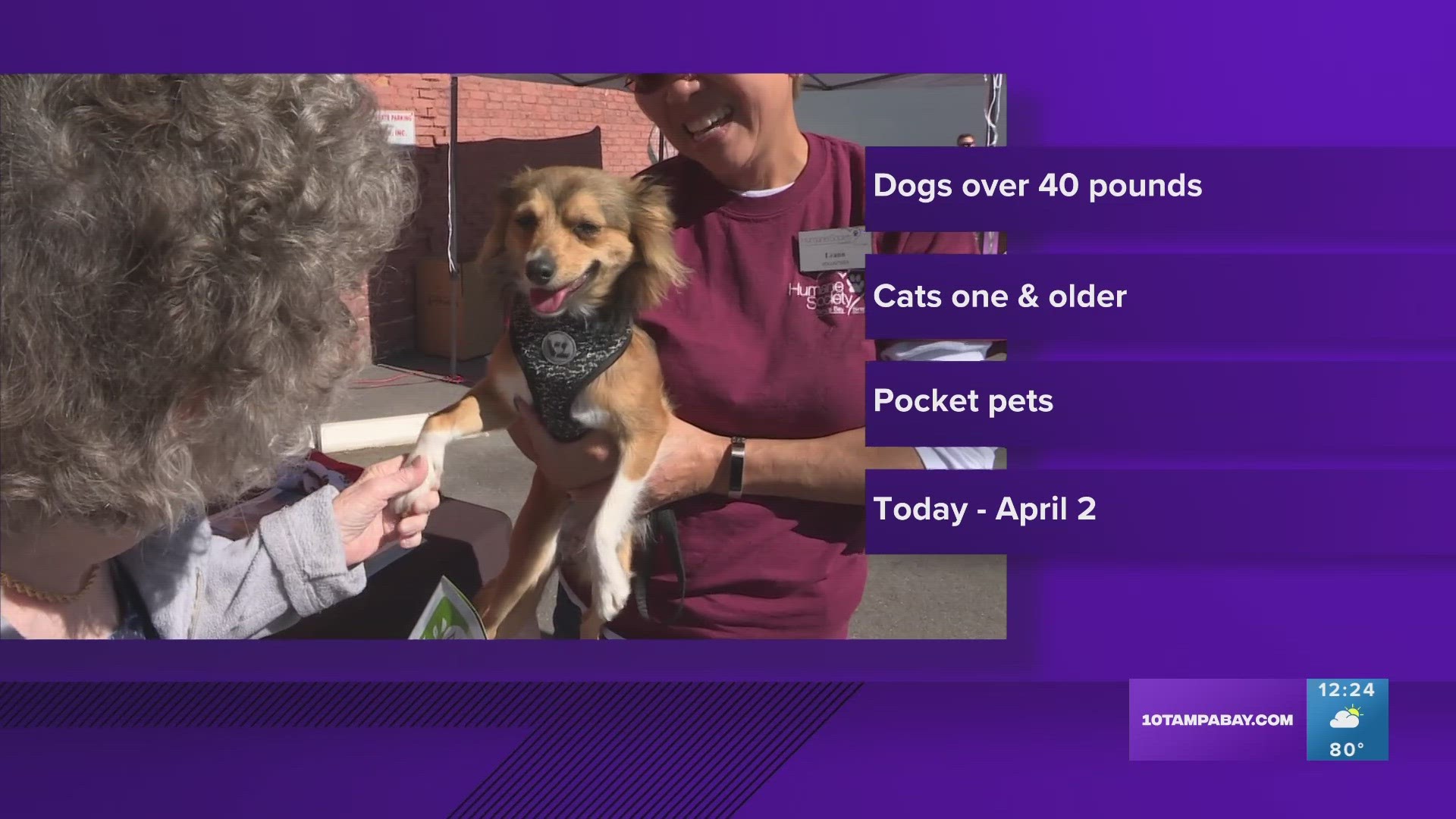 You can choose your adoption fee for dogs that weigh more than 40 pounds, cats at least 1 year old, and small pets like hamsters.