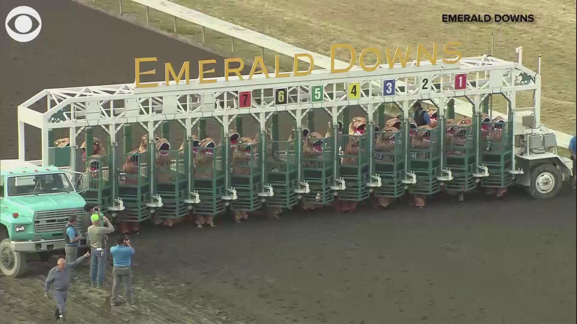 T. Rex. race at Emerald Downs track is pretty epic