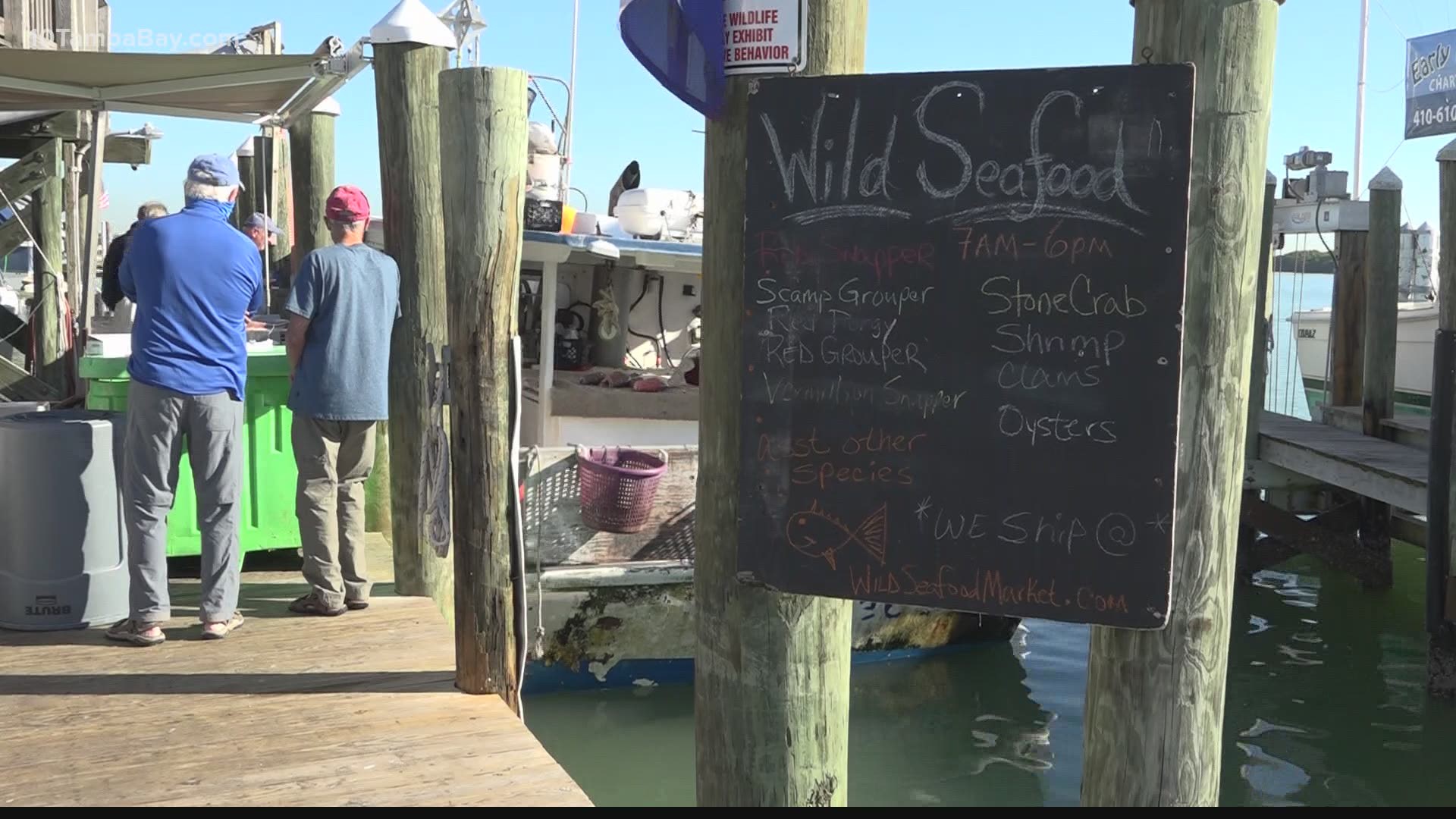 The Wild Seafood Company got a grant from the Catch Together program to get money in the pockets of fishermen and food on the plates of hungry Tampa Bay residents.
