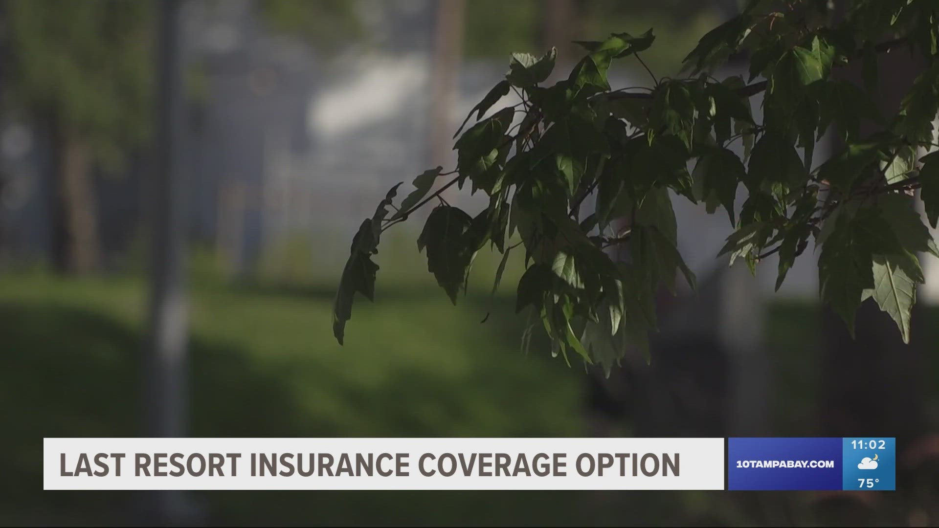 For about 300,000 people a part of the Citizens Insurance depopulation program, many have the option to switch to a new insurance company.