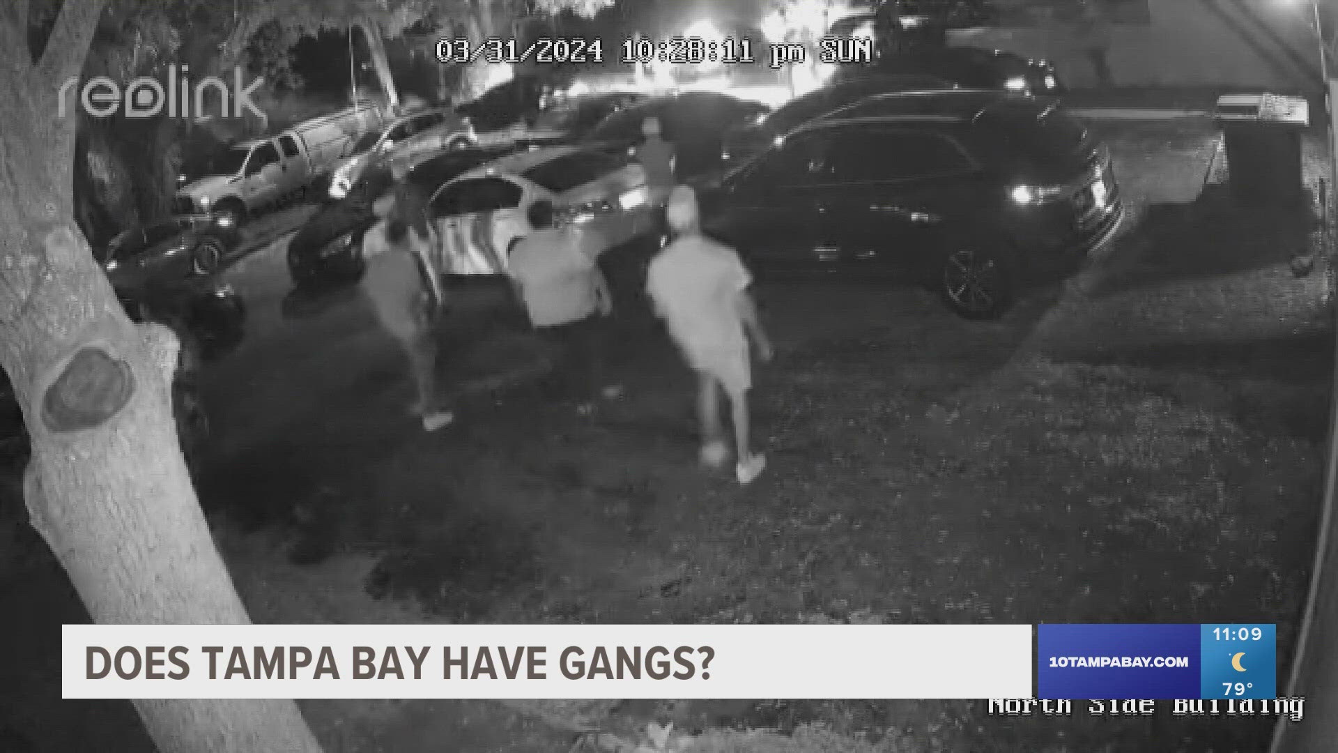 10 Tampa Bay spoke with a former police chief and Tampa Mayor Jane Castor on why local law enforcement refer to gangs as "rival neighborhood groups."