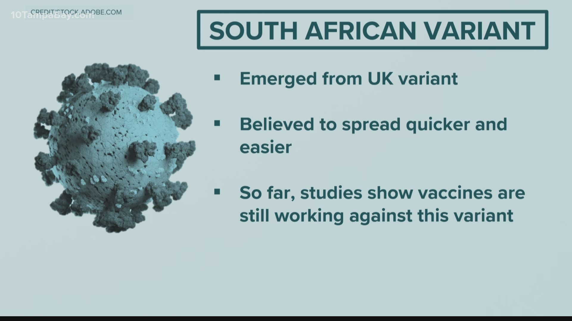 At least one case of the South African COVID-19 variant has been discovered in Florida.