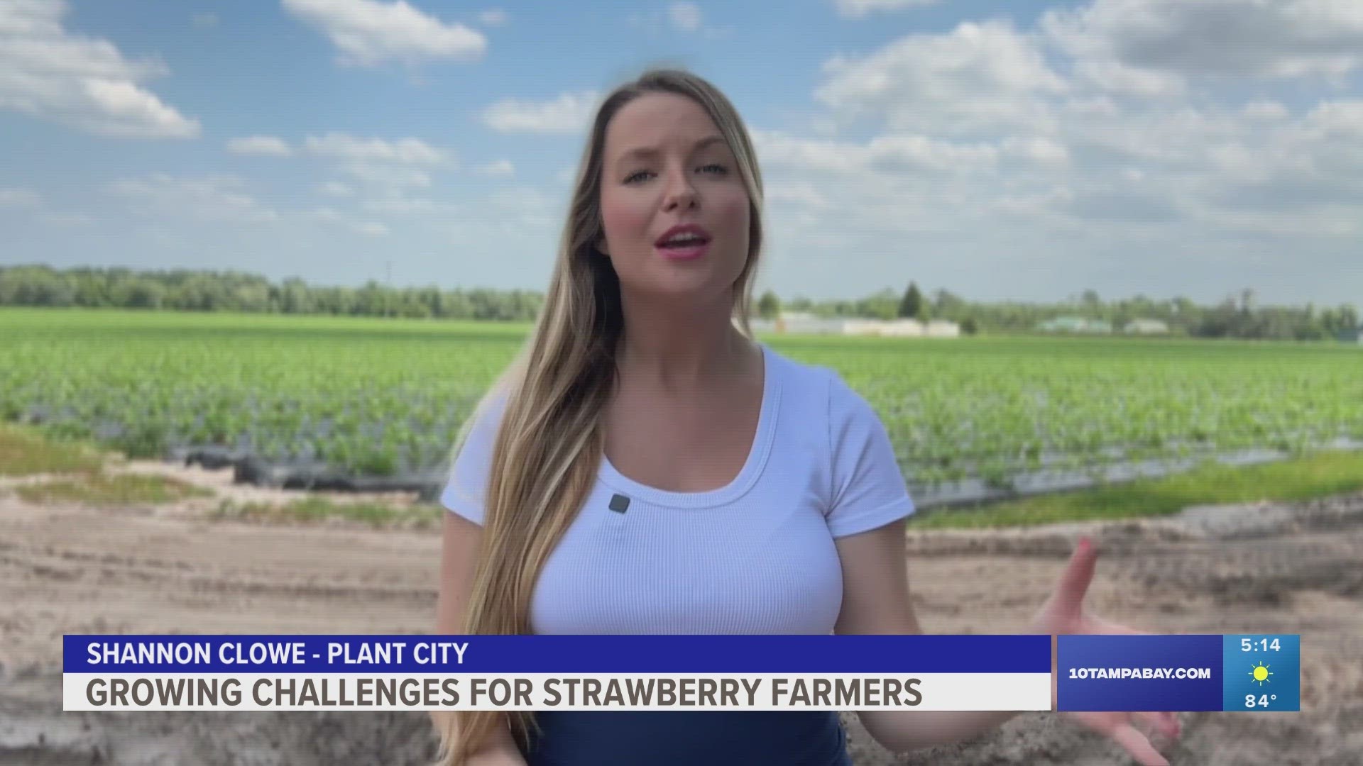 Some farmers in Plant City said they are looking for additional land to grow on because there are so many new homes being developed around their farms.