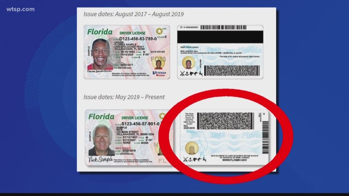 check status of fl driver license
