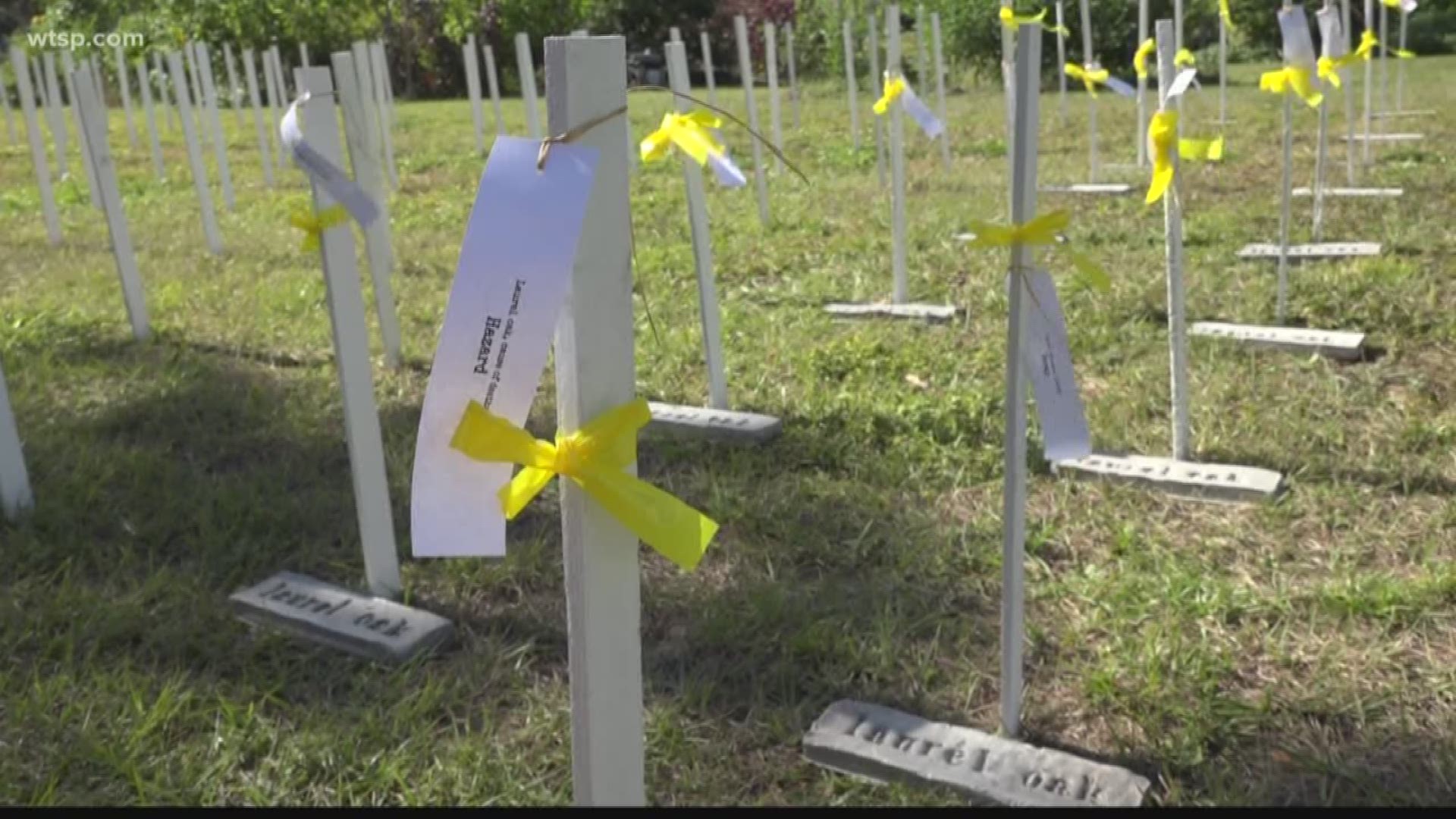 In and around Gulfport, people are planting trees. It’s all thanks to an art memorial and initiative to plant trees to replace the ones that were cut down.