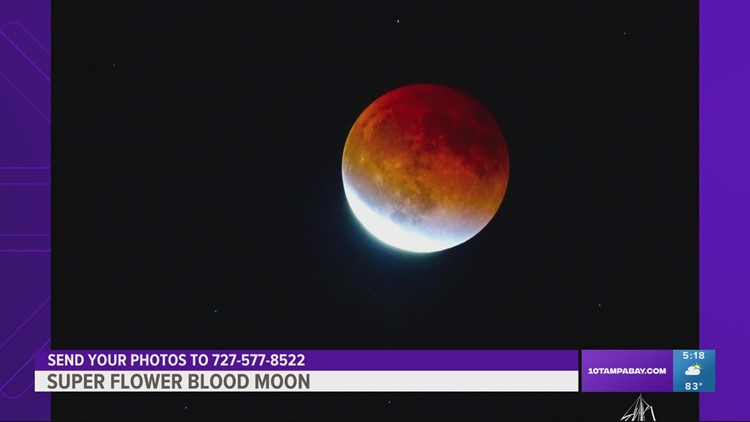 Missed Sunday's 'Super Flower Blood Moon' lunar eclipse? We've got you covered