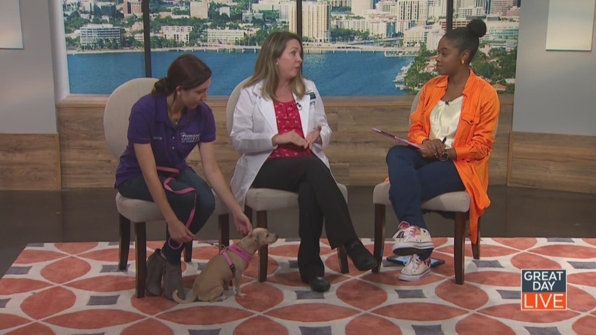 Today Dr. Kate Ogawa, a Veterinarian at Banfield Pet Hospital and Devon Arcuri, from the Humane Society of Pinellas, join us to share tips.