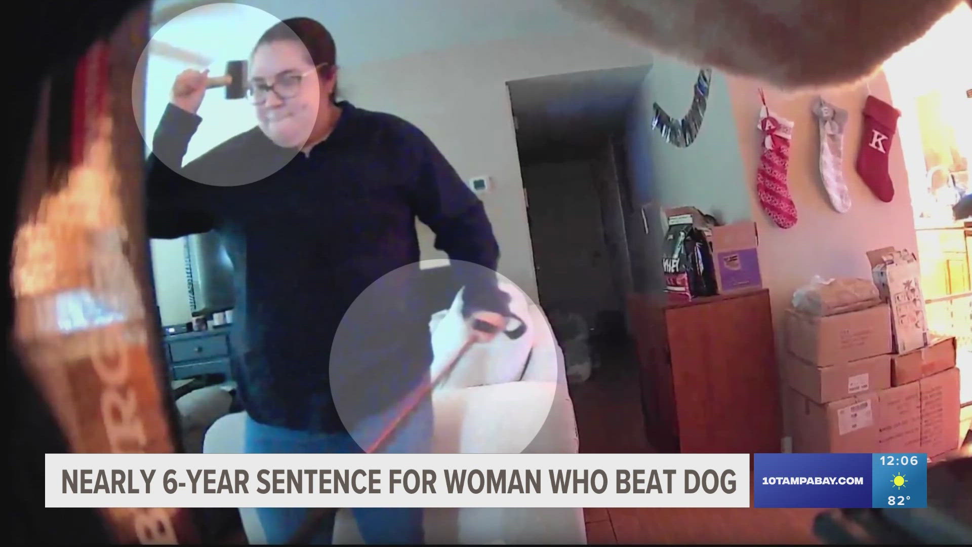 The woman was caught on camera hitting the dog repeatedly with a rubber mallet, including on the head.