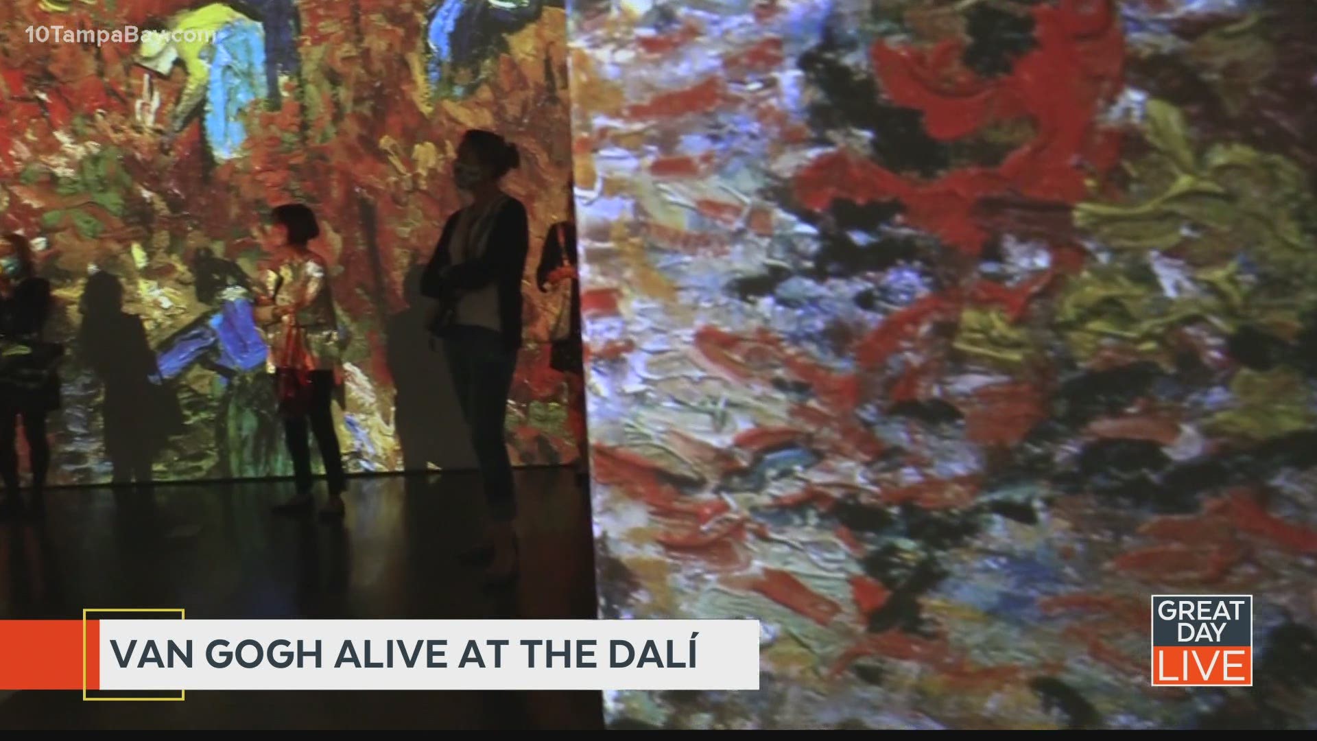 Van Gogh Alive At The Dali Wtsp Com