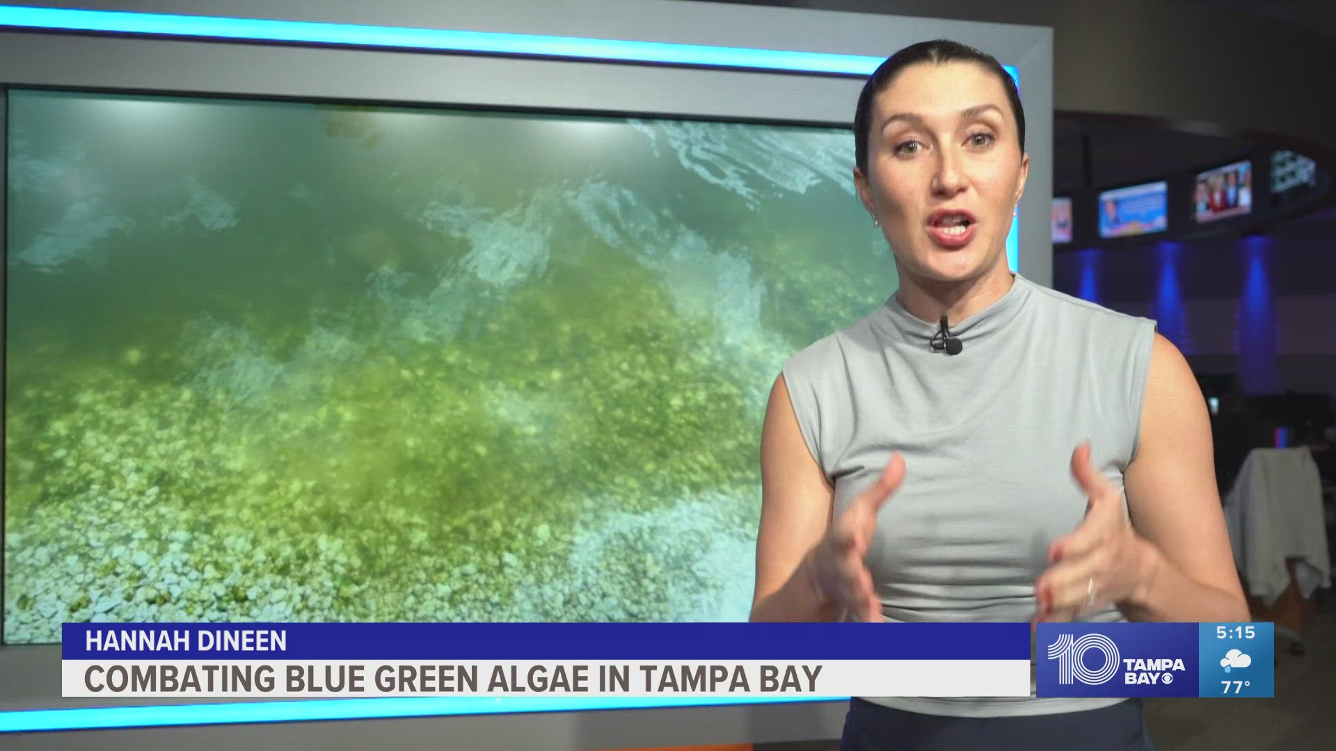 Blue-green algae blooms pose a threat to small businesses that rely on lakes.