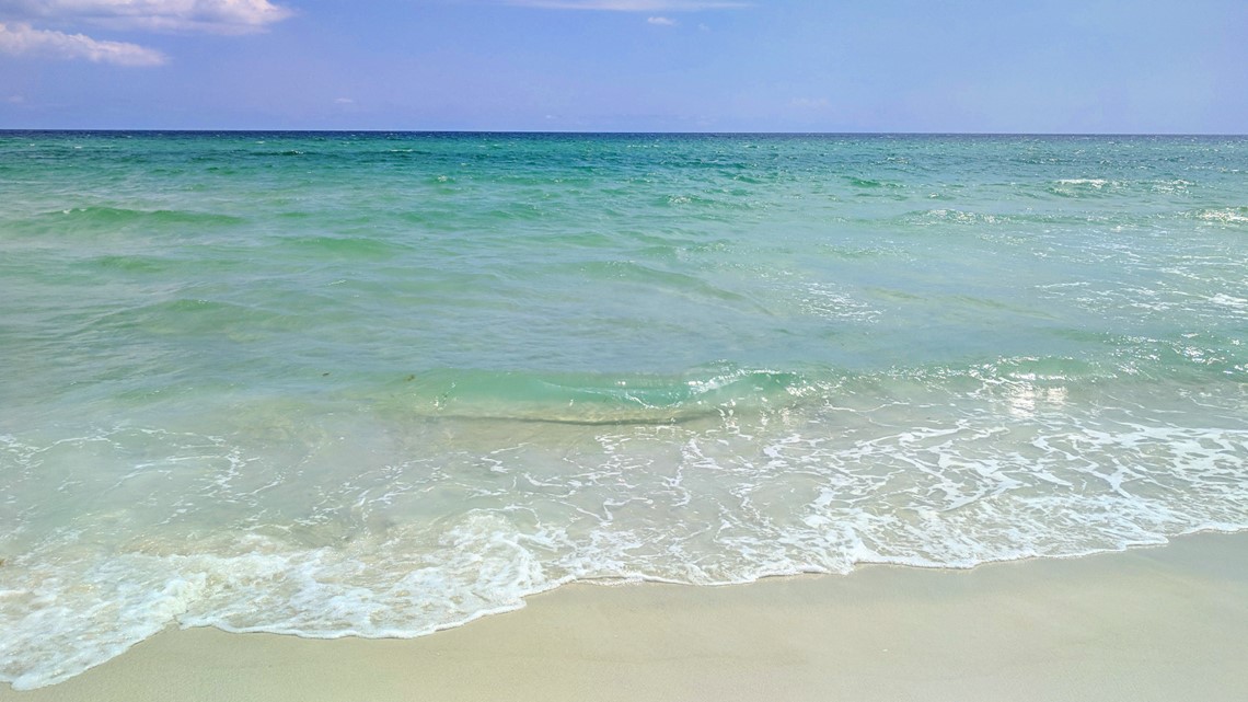 Shark bites person off Siesta Key