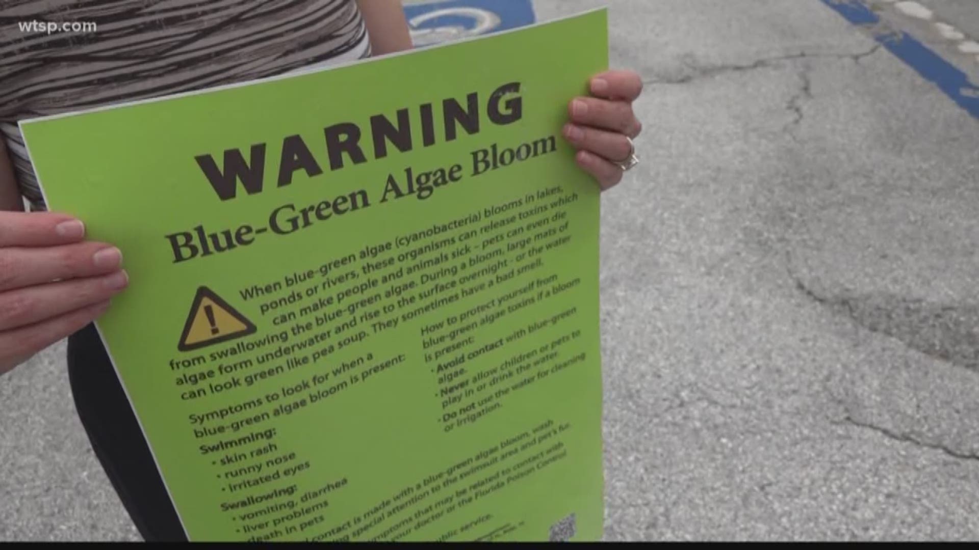 Researchers from Florida Gulf Coast University are teaming up with scientists from across the state to study the impacts of blue-green algae on human health.