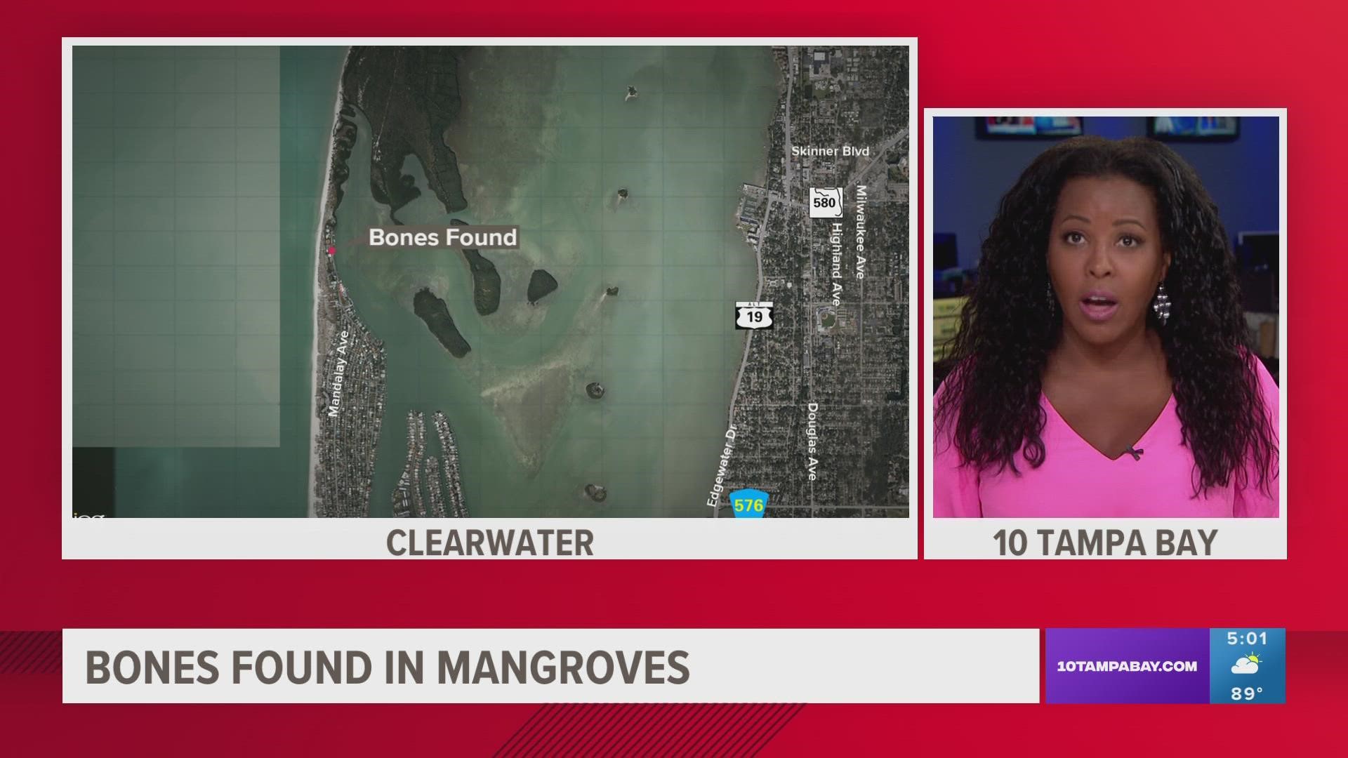 Clearwater Police Investigate After Apparent Human Remains Found Wtsp Clearwater Police Investigate After Apparent Human Remains Found Wtsp